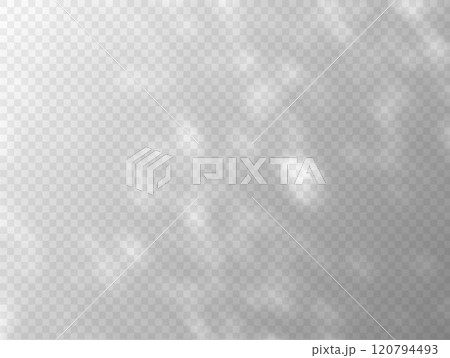 Shadow effect on transparent background vector overlay effect, sunbeams reflection, foliage natural lighting mockup 120794493