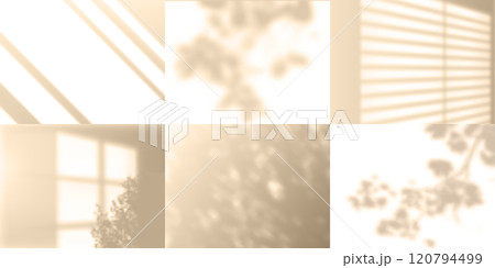 Collection of blurry and soft shadows on the wall. 120794499