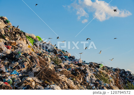 A large heap of garbage overflowing with plastic waste and debris sits in an urban setting, while birds circle above against a bright blue sky, emphasizing ecological concerns A large heap of garbage overflowing with plastic waste and debris sits in an urban setting, while birds circle above against a bright blue sky, emphasizing ecological concerns 120794572