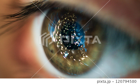 Looking The Christmas Tree. Eye Macro Shoot Looking The Christmas Tree. Eye Macro Shoot 120794580