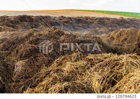 Amidst the rolling hills, large mounds of manure sit in a rural area as clouds gather above, hinting at possible rain in the late afternoon light 120794625