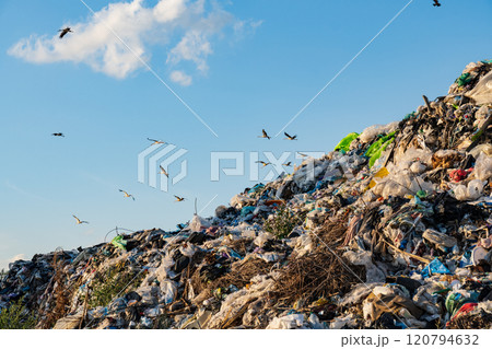 A large mound of trash dominates the landscape, with various types of garbage visible. Birds soar overhead against the clear blue sky, adding life to the bleak surroundings A large mound of trash dominates the landscape, with various types of garbage visible. Birds soar overhead against the clear blue sky, adding life to the bleak surroundings 120794632