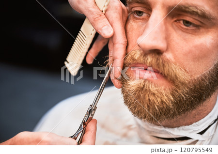 Close up photo of professional hairdresser using comb and scissors to shape beard. Handsome customer getting his beard done. 120795549
