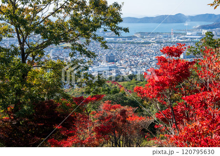 日本の兵庫県赤穂市の雄鷹台山の美しい秋の風景 120795630