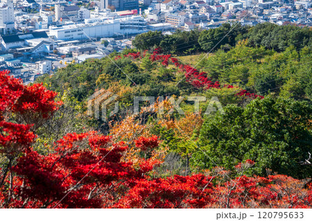 日本の兵庫県赤穂市の雄鷹台山の美しい秋の風景 120795633