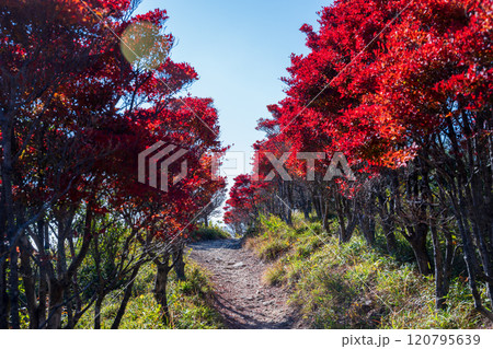日本の兵庫県赤穂市の雄鷹台山の美しい秋の風景 120795639