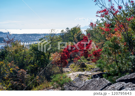 日本の兵庫県赤穂市の雄鷹台山の美しい秋の風景 日本の兵庫県赤穂市の雄鷹台山の美しい秋の風景 120795643