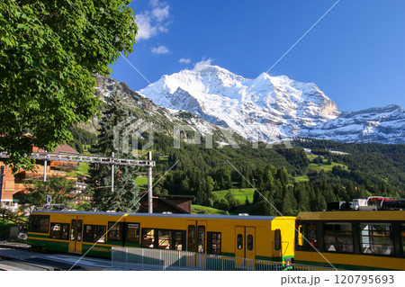 ヴェンゲンからユングフラウを見上げる グリンデルワルト スイス ヴェンゲンからユングフラウを見上げる グリンデルワルト スイス 120795693