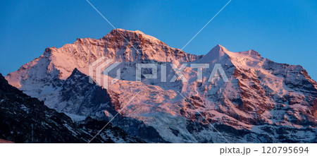 ヴェンゲンからモルゲンロートに染まるユングフラウを見上げる　グリンデルワルト　スイス 120795694