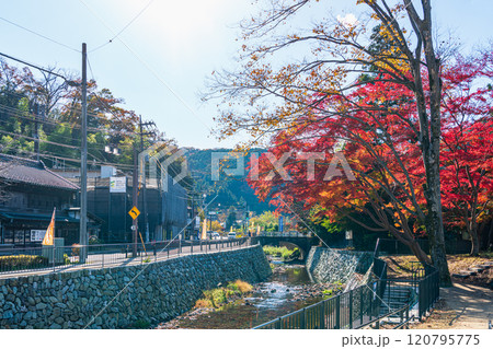 京王線　秋の高尾山口駅前 120795775