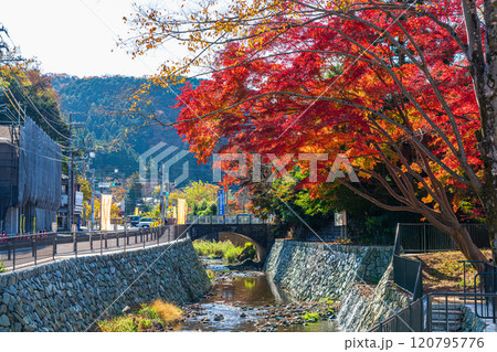 京王線 秋の高尾山口駅前 京王線 秋の高尾山口駅前 120795776
