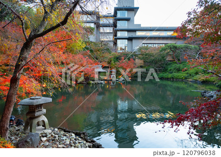 東京都港区白金台 八芳園の紅葉(TOKYO RED GARDEN) 東京都港区白金台 八芳園の紅葉(TOKYO RED GARDEN) 120796038
