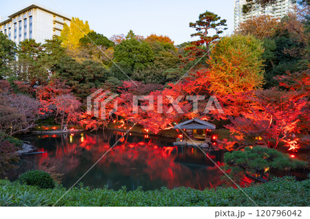 東京都港区白金台　八芳園の紅葉(TOKYO RED GARDEN) 120796042