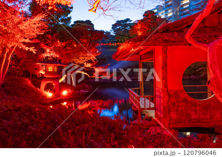 東京都港区白金台 八芳園の紅葉(TOKYO RED GARDEN) 東京都港区白金台 八芳園の紅葉(TOKYO RED GARDEN) 120796046
