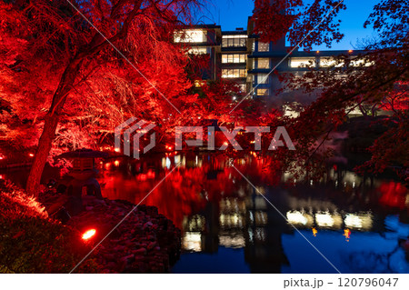 東京都港区白金台 八芳園の紅葉(TOKYO RED GARDEN) 東京都港区白金台 八芳園の紅葉(TOKYO RED GARDEN) 120796047
