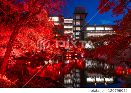 東京都港区白金台　八芳園の紅葉(TOKYO RED GARDEN) 120796053