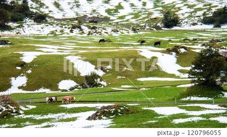 アンメルトフーベルのトレッキングの風景　ミューレン　ラウターブルンネン　スイス 120796055