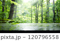 苔むす渓流の風景 120796558
