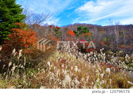 晩秋の赤城小沼湖畔 紅葉風景 晩秋の赤城小沼湖畔 紅葉風景 120796578