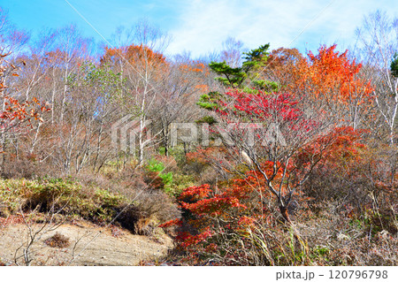 晩秋の赤城小沼湖畔　紅葉風景　　 120796798