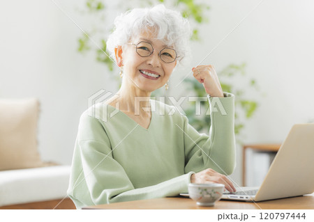 パソコンを操作するシニア女性 120797444