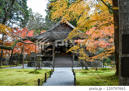 秋の京都 大原三千院 往生極楽院 秋の京都 大原三千院 往生極楽院 120797661
