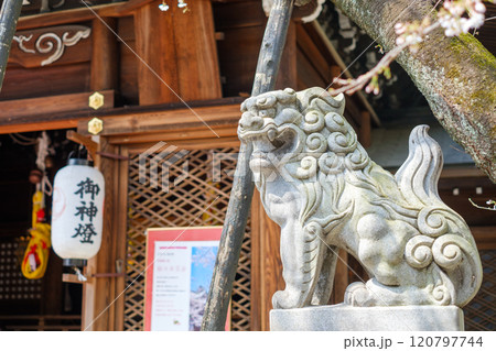 神社にある狛犬 120797744
