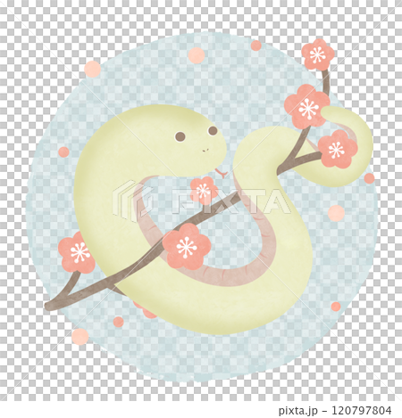 Plum, snake, blue, Japanese pattern, checkered Plum, snake, blue, Japanese pattern, checkered 120797804