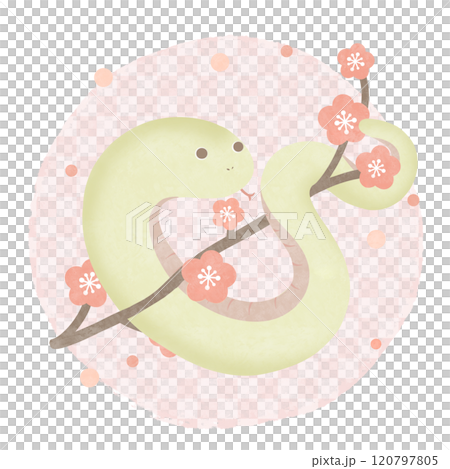 梅花蛇粉紅日式格紋圖案 梅花蛇粉紅日式格紋圖案 120797805