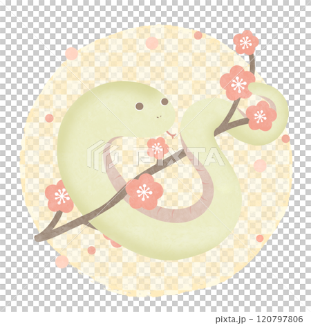 梅花蛇黃日式格子圖案 120797806