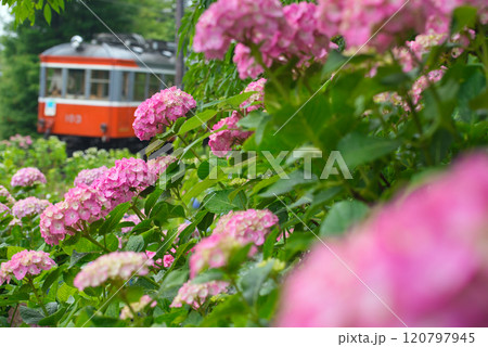 箱根登山鉄道 箱根登山鉄道 120797945