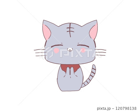 猫のお地蔵さん 猫のお地蔵さん 120798138
