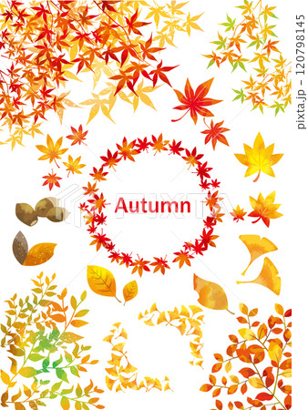紅葉のセット画像 120798145