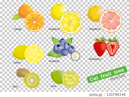 Fruit watercolor set illustration 120798146