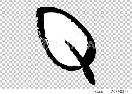 Monochrome line drawing of leaves with brush strokes 120798858