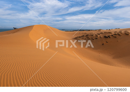 Scenery of the Red Sand Dunes located at Mui Ne in Vietnam 120799600