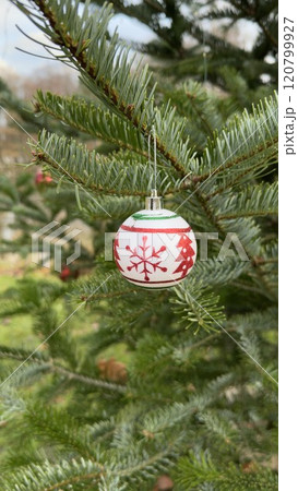 Festive Christmas Ornament Hanging on Evergreen Tree Branch 120799927