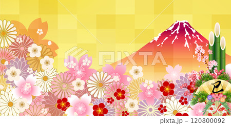 巳　年賀状　新年　初売り　背景	 120800092