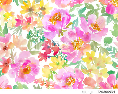 水彩で描いた抽象的なピンクの野バラと草花の背景透過シームレスパターン 120800934