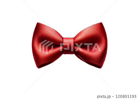 ベルト 吊革 釣り革 120801193