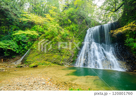 秋の四方木不動滝　千葉県鴨川市 120801760