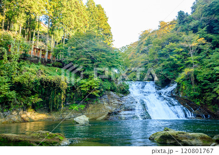 秋の粟又の滝 千葉県大多喜町 秋の粟又の滝 千葉県大多喜町 120801767