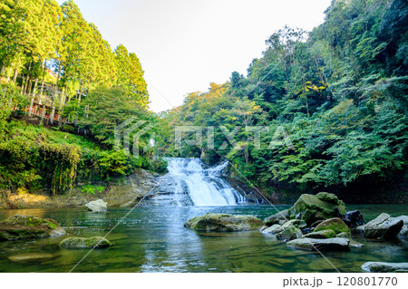 秋の粟又の滝 千葉県大多喜町 秋の粟又の滝 千葉県大多喜町 120801770