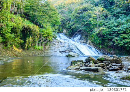 秋の粟又の滝　千葉県大多喜町 120801771