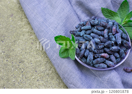 honeysuckle berries on a concrete background. 120801878