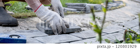 Laying paving stones on cement mortar. Laying a garden path made of tiles. Self-laying of concrete paving slabs in the courtyard of the house. do it yourself. DIY 120801929