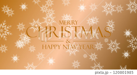 Merry Christmas and Happy New Year 120801985