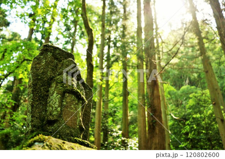 島根県 森の無縁仏 島根県 森の無縁仏 120802600