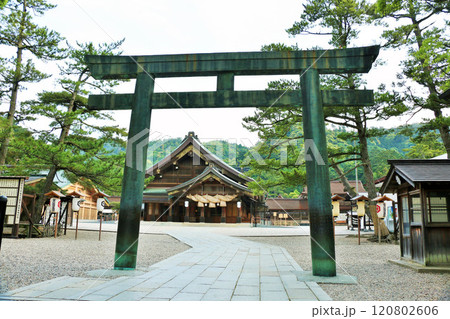 島根県　出雲大社 120802606