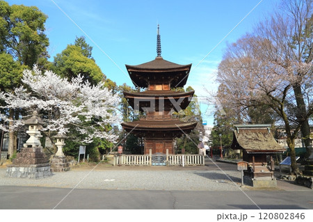 日吉神社散策・3（岐阜県安八郡神戸町） 120802846